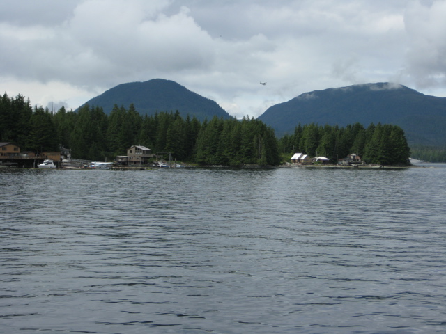 IMG_0195.JPG