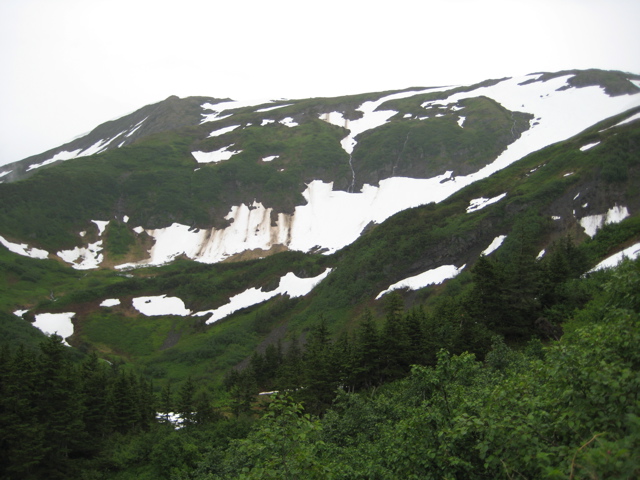 IMG_0036.JPG