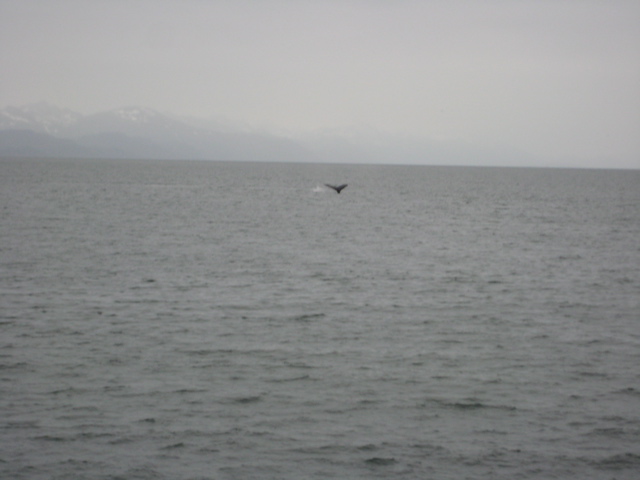 IMG_0053.JPG