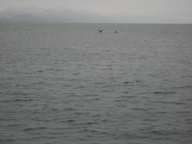 IMG_0054.JPG