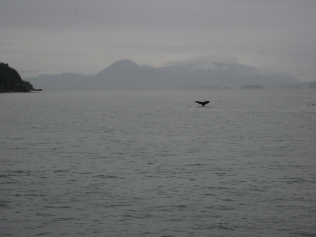 IMG_0055.JPG