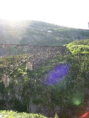 IMG_0116.JPG