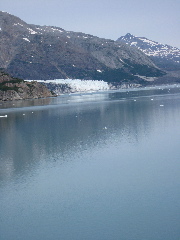 IMG_0135.JPG