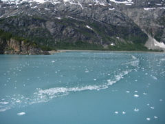 IMG_0141.JPG