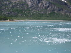 IMG_0143.JPG