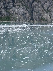 IMG_0145.JPG