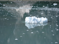 IMG_0150.JPG