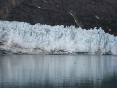 IMG_0154.JPG