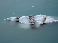 IMG_0170.JPG