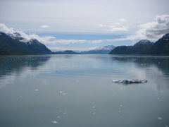 IMG_0171.JPG
