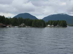 IMG_0195.JPG