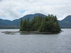 IMG_0203.JPG
