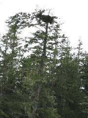 IMG_0204.JPG