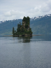 IMG_0206.JPG