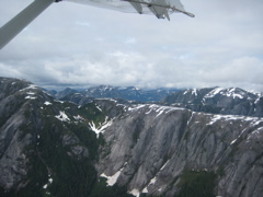 IMG_0233.JPG