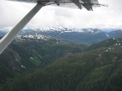 IMG_0240.JPG
