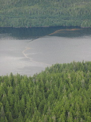 IMG_0256.JPG