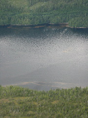IMG_0257.JPG