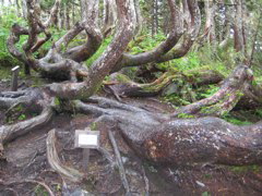IMG_0029.JPG