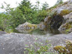 IMG_0047.JPG