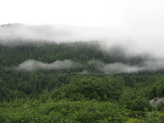 IMG_0050.JPG