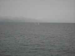 IMG_0051.JPG