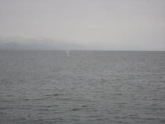IMG_0052.JPG