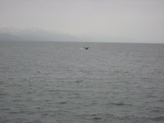 IMG_0053.JPG