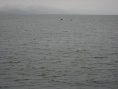 IMG_0054.JPG