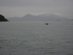 IMG_0055.JPG