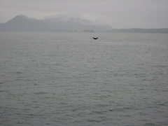 IMG_0056.JPG