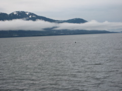 IMG_0057.JPG