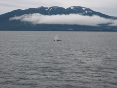 IMG_0059.JPG