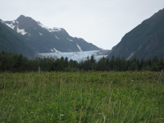 IMG_0060.JPG