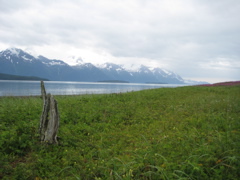 IMG_0062.JPG