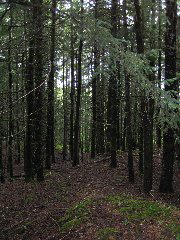 IMG_0066.JPG