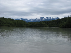 IMG_0071.JPG
