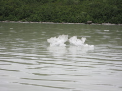 IMG_0075.JPG