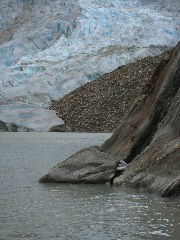 IMG_0079.JPG