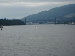 IMG_0010.JPG