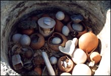 Loading Pots into a Pit