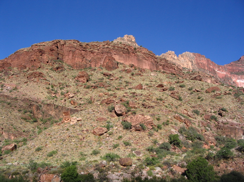 STB_0461.JPG