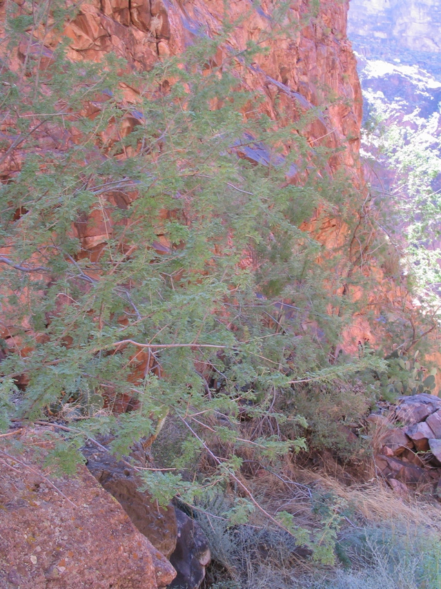 IMG_0474.JPG