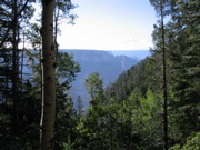 IMG_0420.JPG