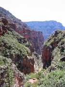 IMG_0439.JPG