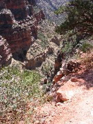 IMG_0447.JPG