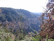 IMG_0421.JPG