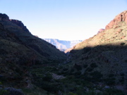 IMG_0455.JPG