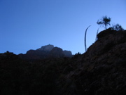 STF_0465.JPG
