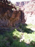 IMG_0466.JPG